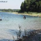 zdjęcie nr 39