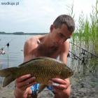 zdjęcie nr 7