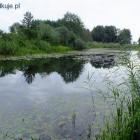 Fotka nr 4 z 12