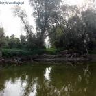 zdjęcie nr 13