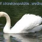 Fotka nr 2 z 3