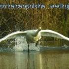 Fotka nr 1 z 3