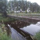 zdjęcie nr 41