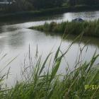 zdjęcie nr 47