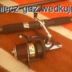 Fotka nr 3 z 4