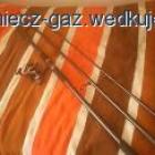 Fotka nr 2 z 4