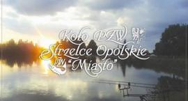 Fotka nr 0 z 1