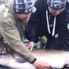 BIG FISH!