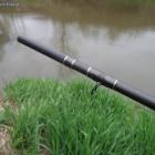 Fotka nr 4 z 10