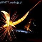 zdjęcie nr 7
