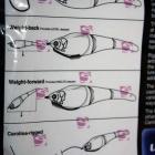 foto1c