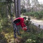 Drugi specjalista od mechanicznej piły Andrzej
05.04.14r.