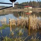Nowy model naturalnego swingera