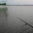 Miejsce przy sitówiu