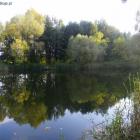 zdjęcie nr 8