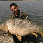 Przeciętny karp z rzeki Ebro