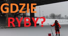 Fotka nr 0 z 1
