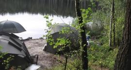 Fotka nr 0 z 19