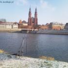 Fotka nr 2 z 7