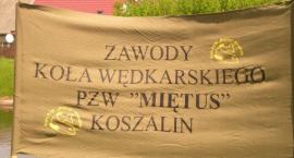 Fotka nr 0 z 1