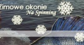 Fotka nr 0 z 7