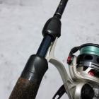 Fotka nr 1 z 25