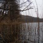 styczniowe jezioro