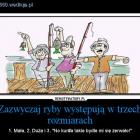 Fotka nr 1 z 3
