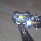 fotka 4