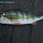 Fotka nr 1 z 10