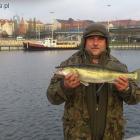Fotka nr 1 z 2