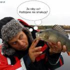 Fotka nr 2 z 3