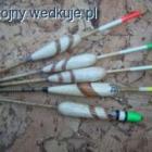 Fotka nr 1 z 12
