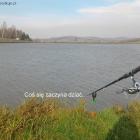 Fotka nr 2 z 7