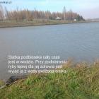 Fotka nr 1 z 7