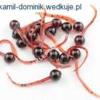 Plemnik tygrysek
