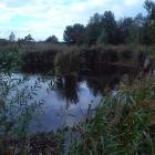zdjęcie nr 8