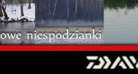 Fotka nr 0 z 2