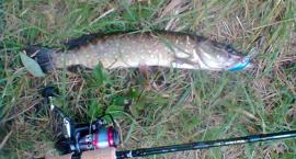 szczupak na Cormoran Black Bull LRC Jigger 270/2-15g