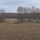 Fotka nr 4 z 10