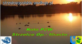 zdjęcie nr 1