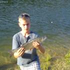 Boleń 66 cm złowiony na woblera DAIWA