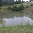 Staw nr. 2