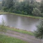 Staw nr. 1