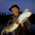 zdjęcie nr 22