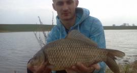 Karaś Srebrzysty 51cm 2.36kg