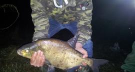 Leszcz 60cm i 2.57kg