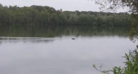 Fotka nr 0 z 5