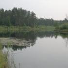 zdjęcie nr 11