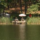 zdjęcie nr 88